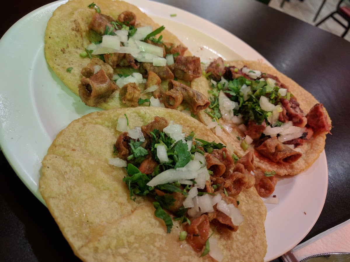 Sabor Mexican Grill Catering - Photo 5