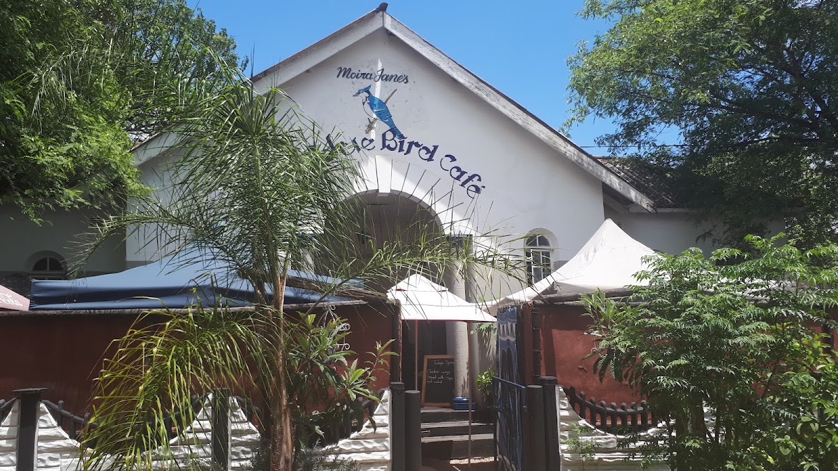 Moira Jane's Blue Bird Cafe - Photo 4