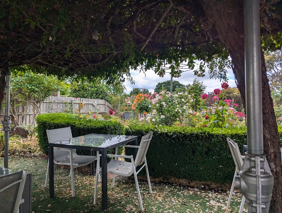 Rose Garden Cafe - Photo 9