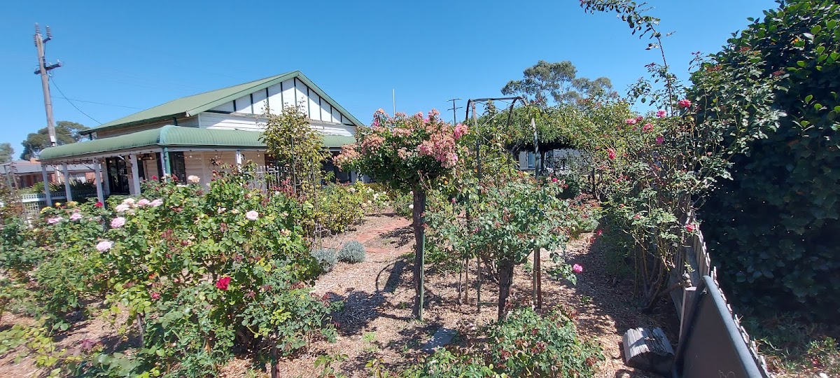 Rose Garden Cafe - Photo 4