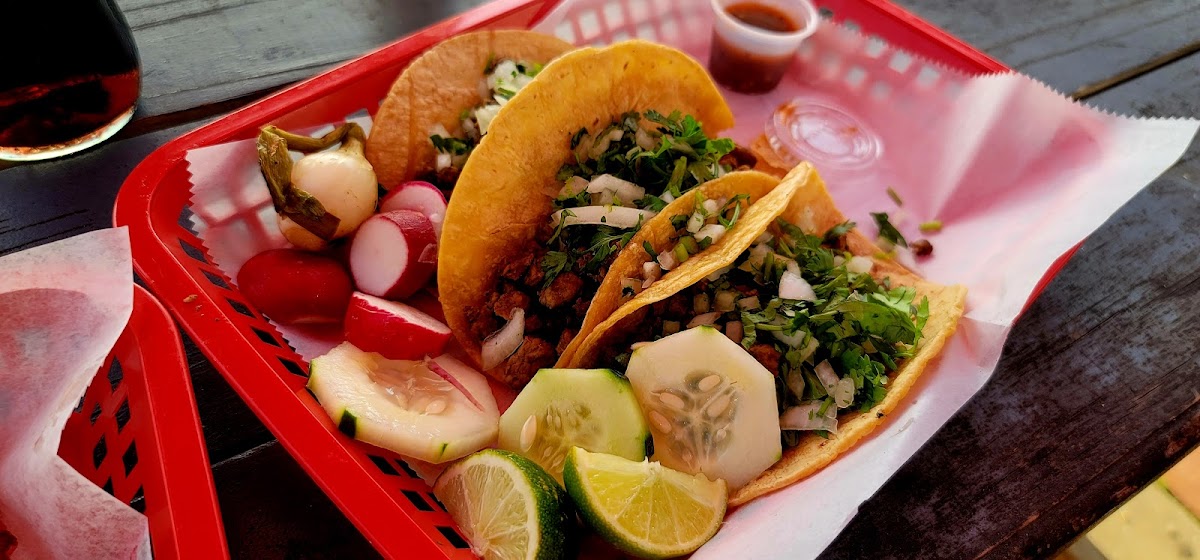 Taco Fiesta Street Tacos - Photo 4
