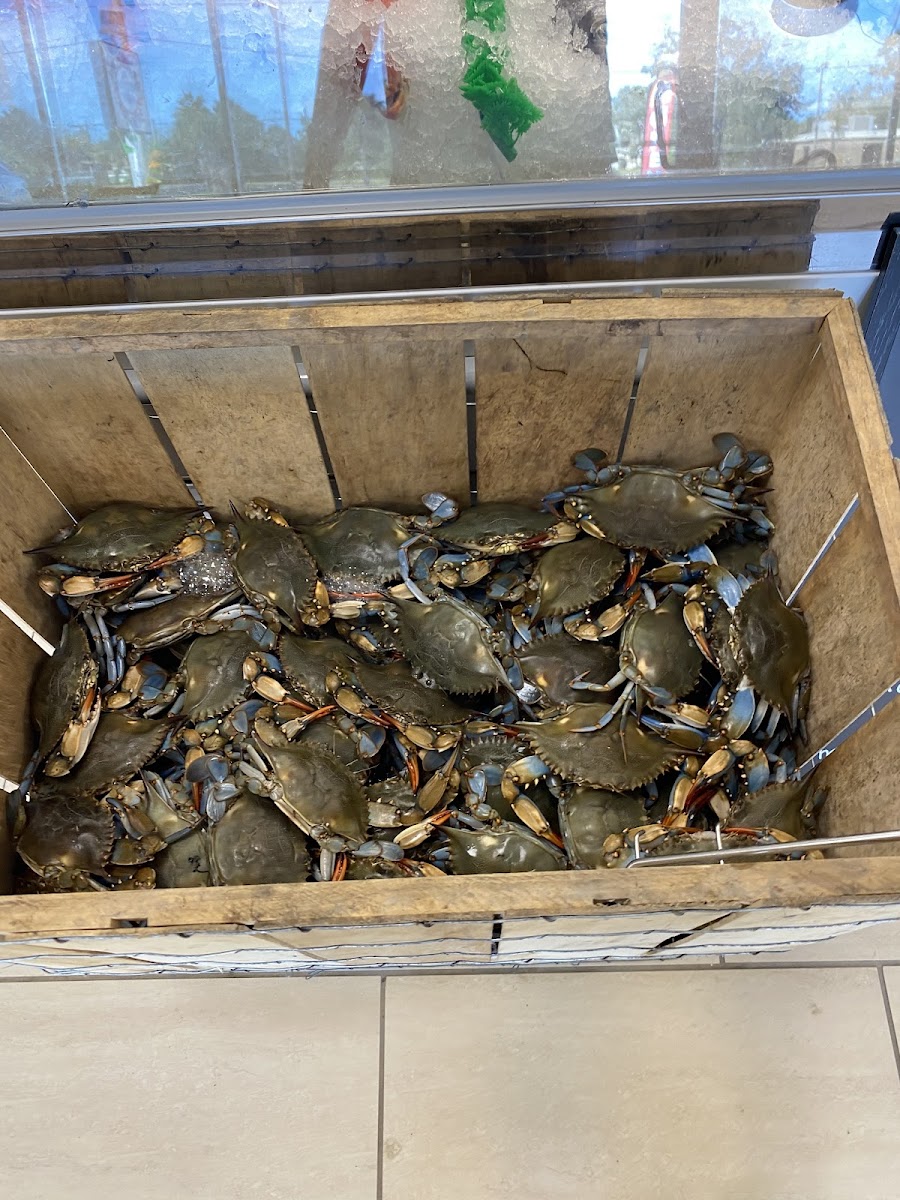 J&L seafood market - Photo 2