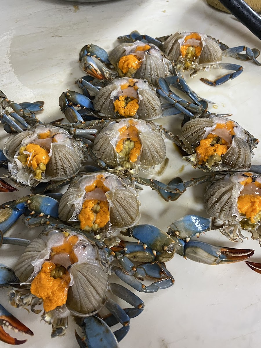 J&L seafood market - Photo 3