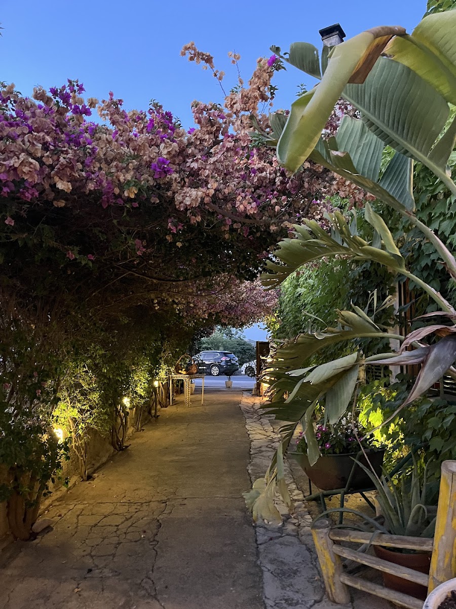 Molí Nou - Photo 2