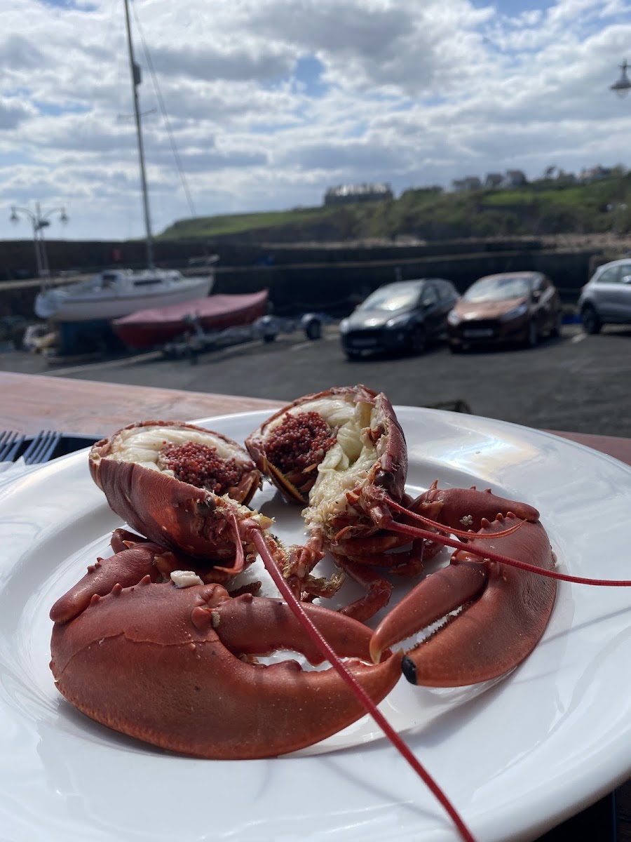 Crail Harbour Gallery & Tearoom - Photo 5