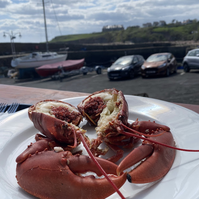 Lobster