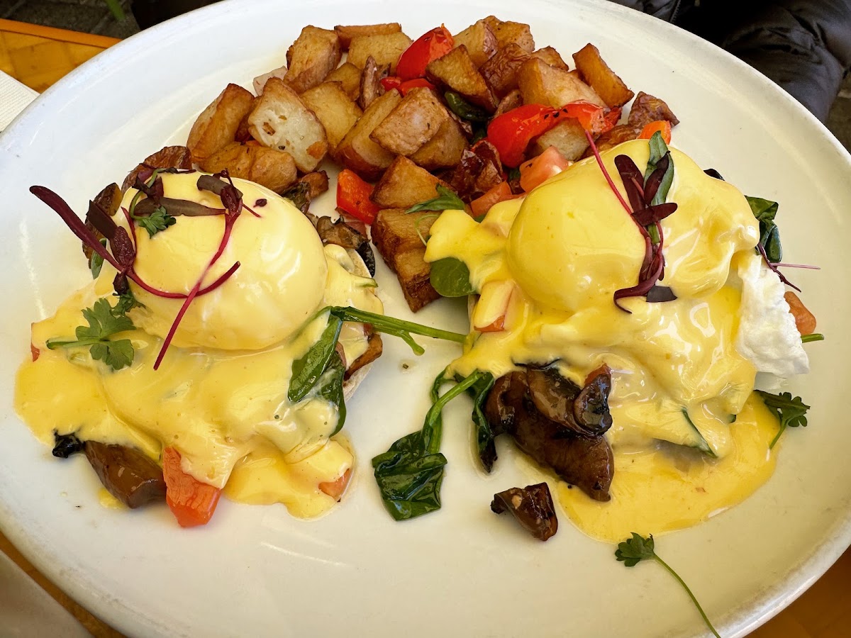 Sunny Side Solana - Photo 3