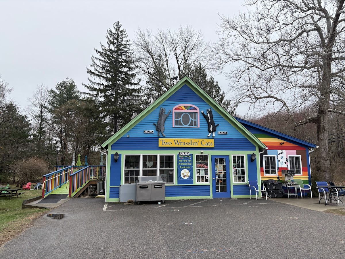 Two Wrasslin' Cats Coffee House & Cafe - Photo 3