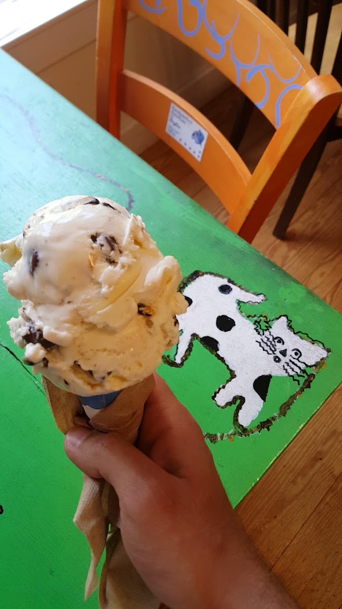 Two Wrasslin' Cats Coffee House & Cafe - Photo 4