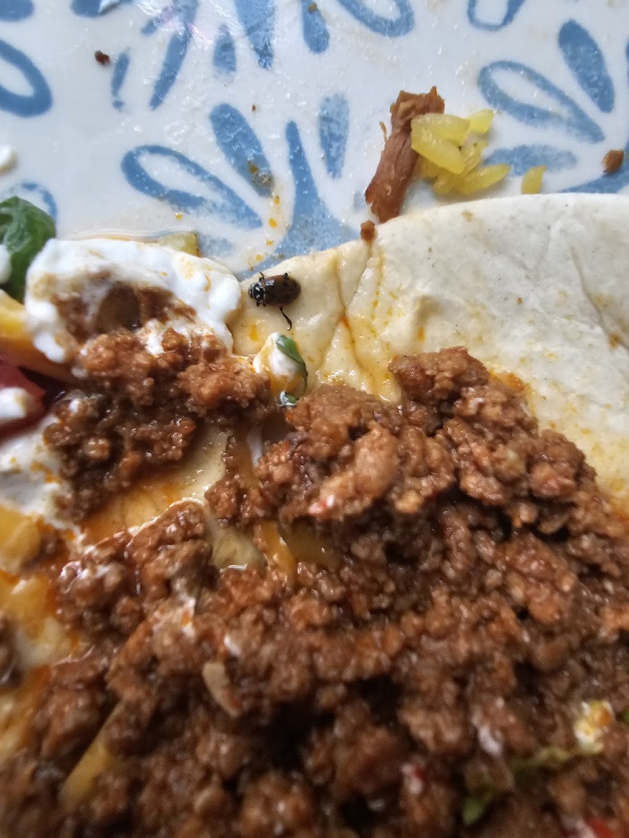 Mamacitas West Boylston - Photo 5