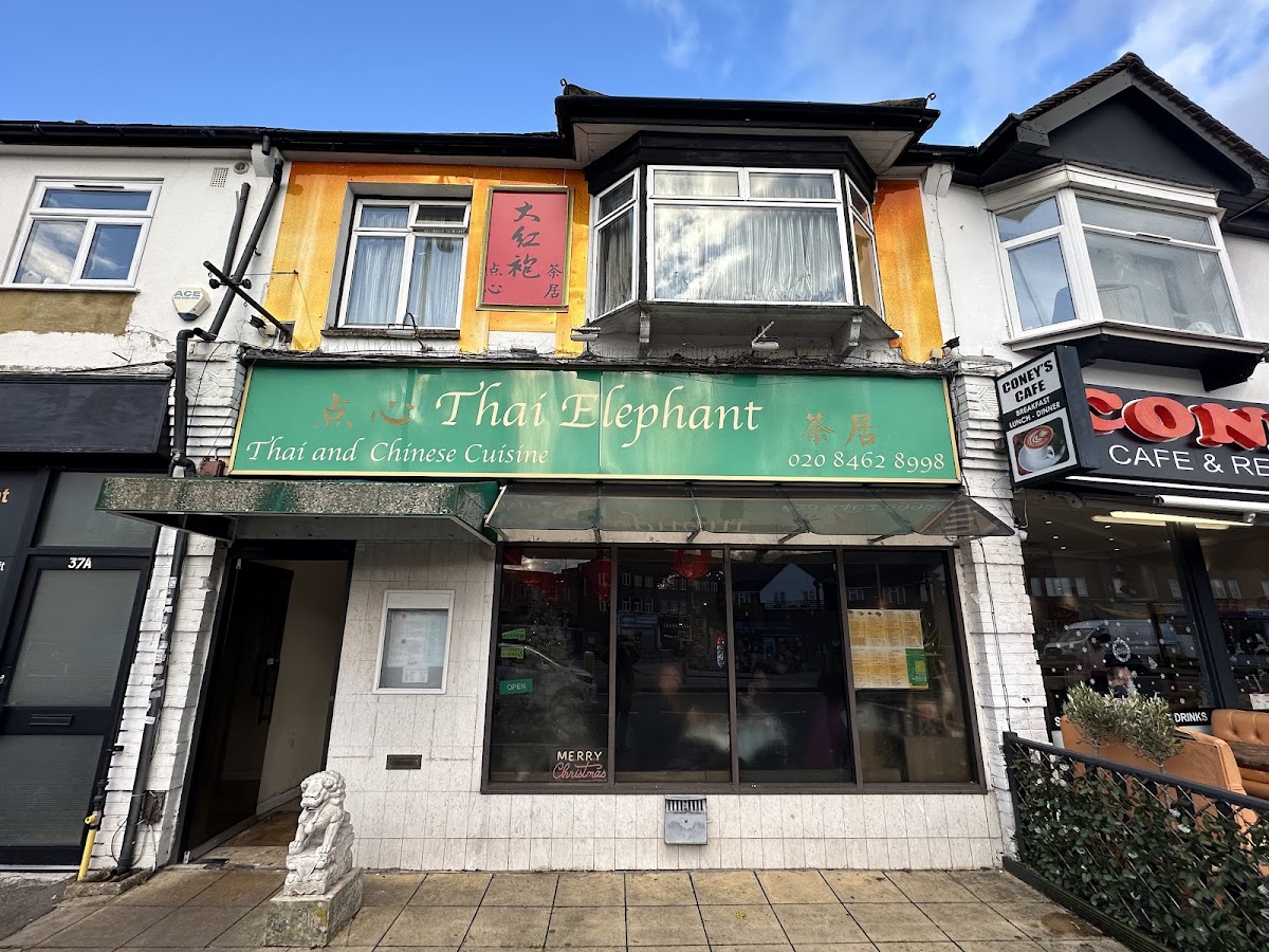 Thai Elephant Restaurant and Dim Sum (Da Hong Pao)