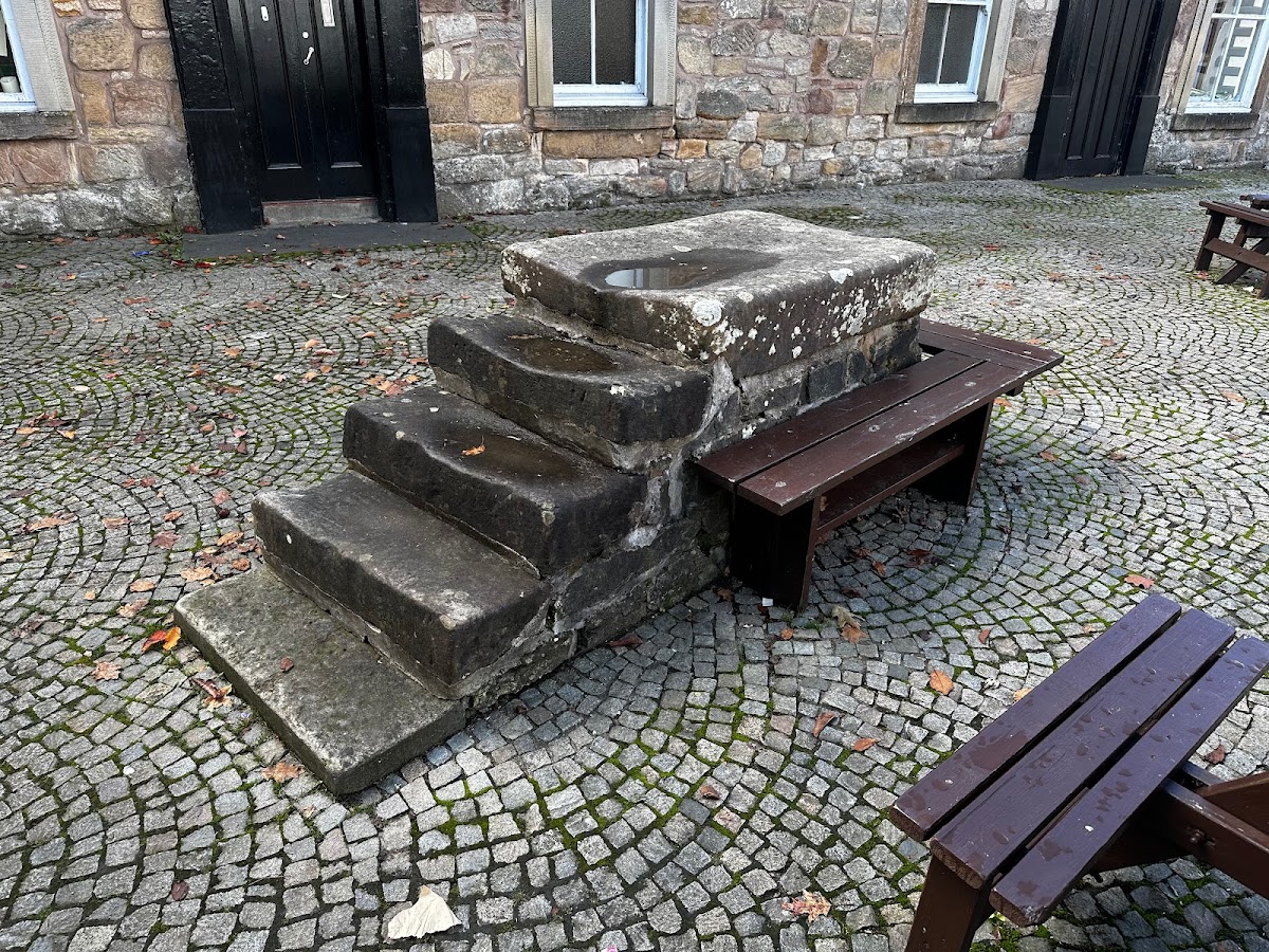 Loupin Stane - Photo 7