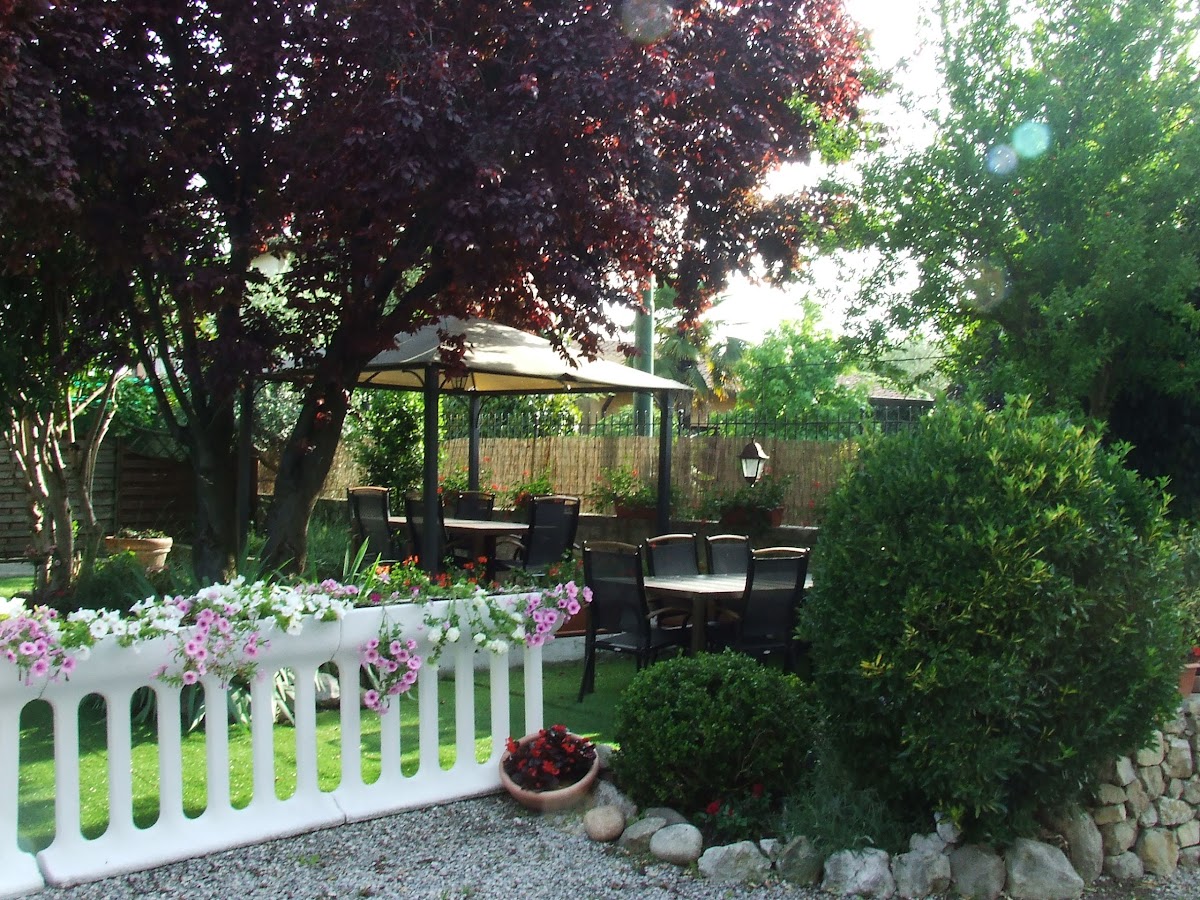Trattoria Vecchio - Photo 9