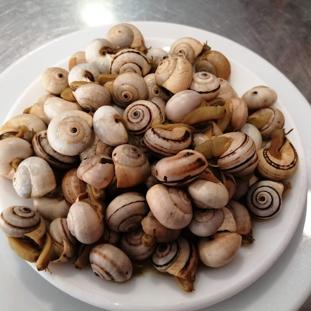 Caracoles
