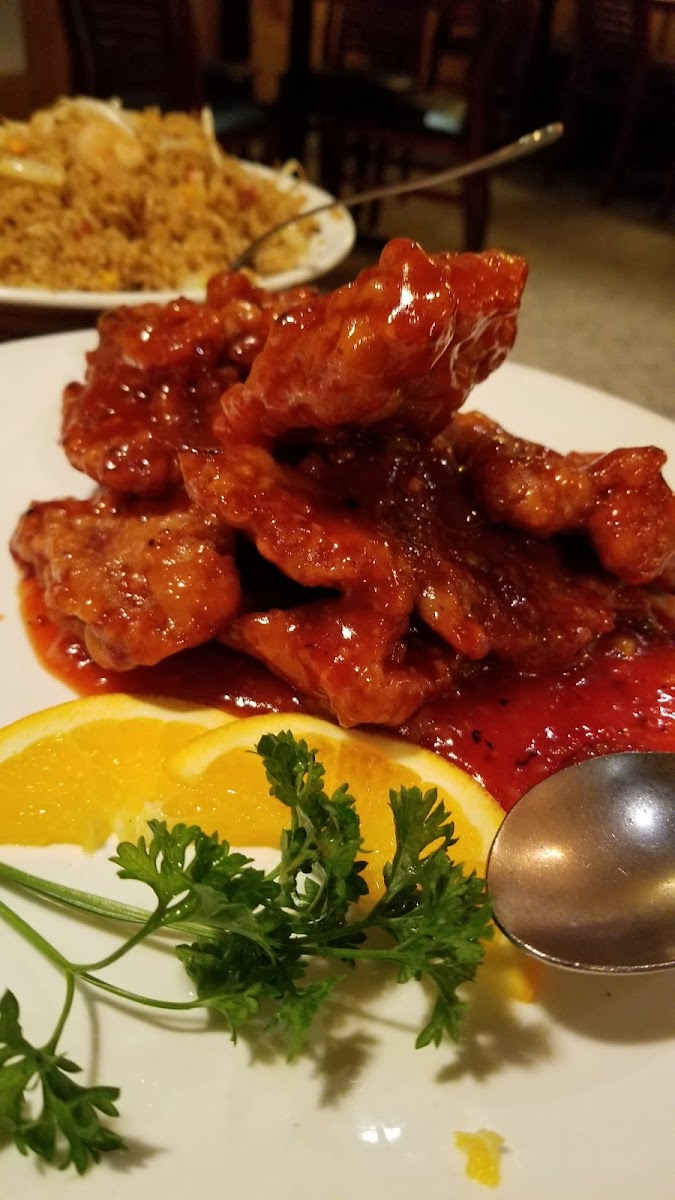 Jasmine Asian Restaurant - Photo 6