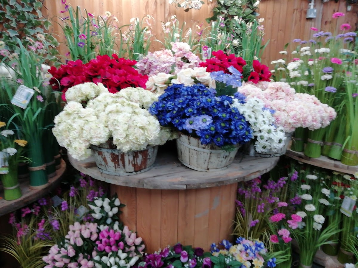 Sandhill Nurseries Cafe - Photo 3