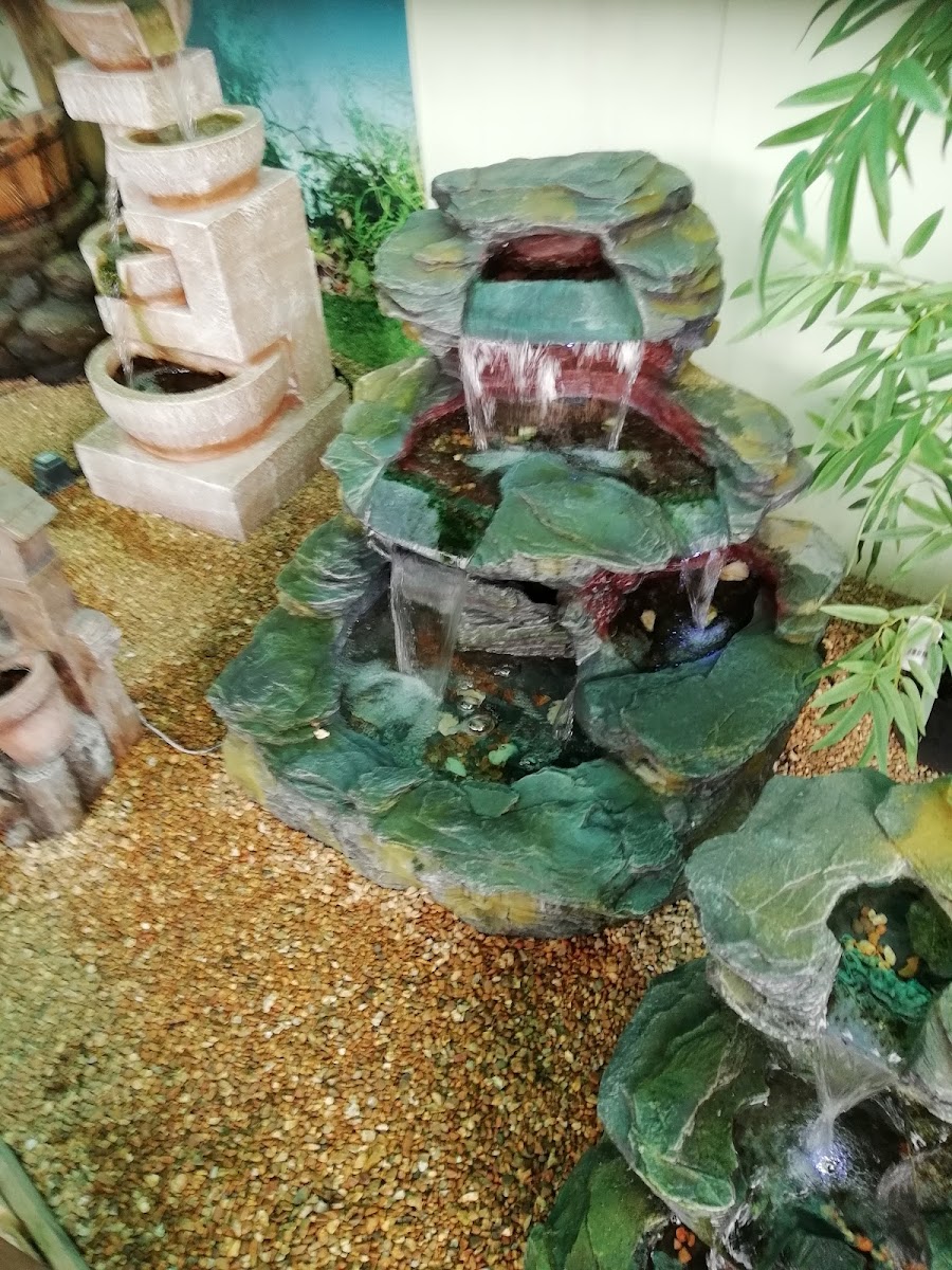Sandhill Nurseries Cafe - Photo 4