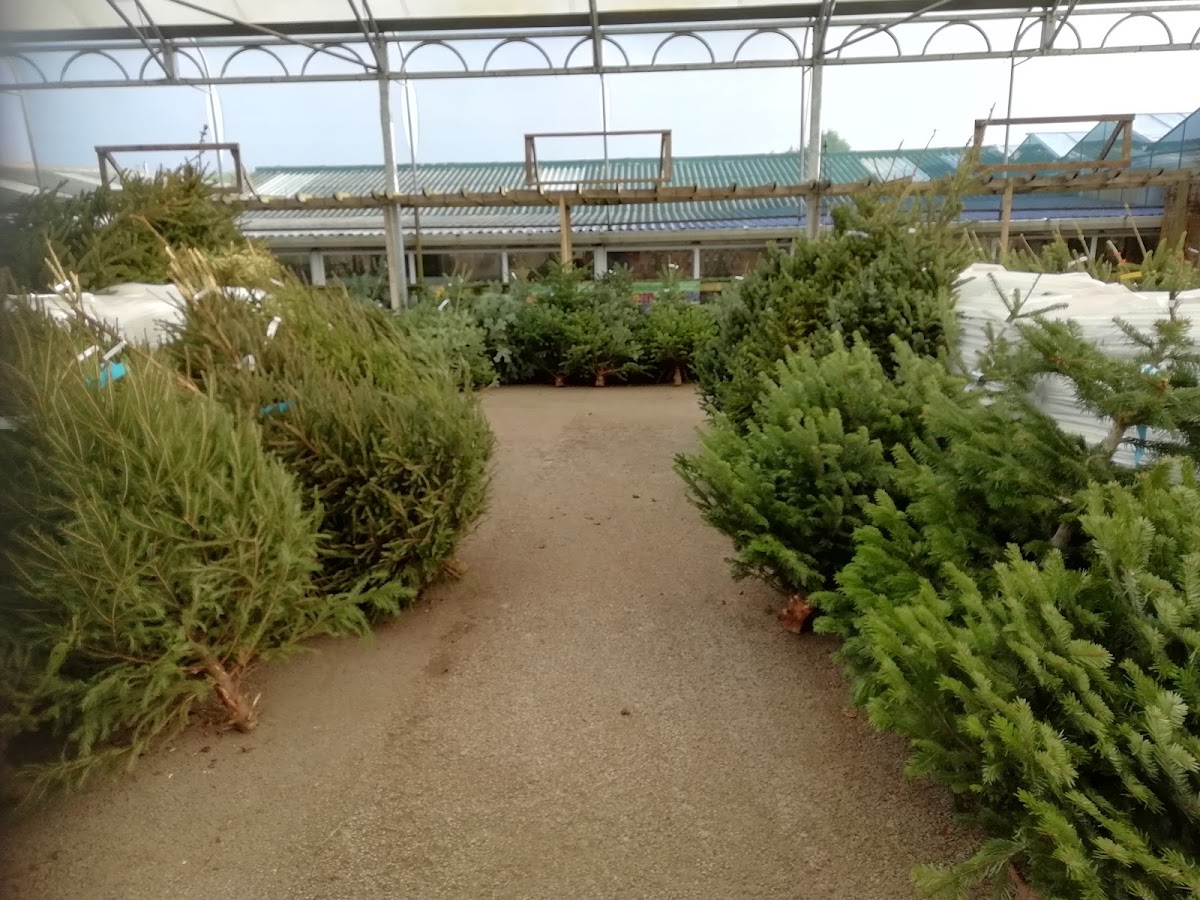 Sandhill Nurseries Cafe - Photo 5