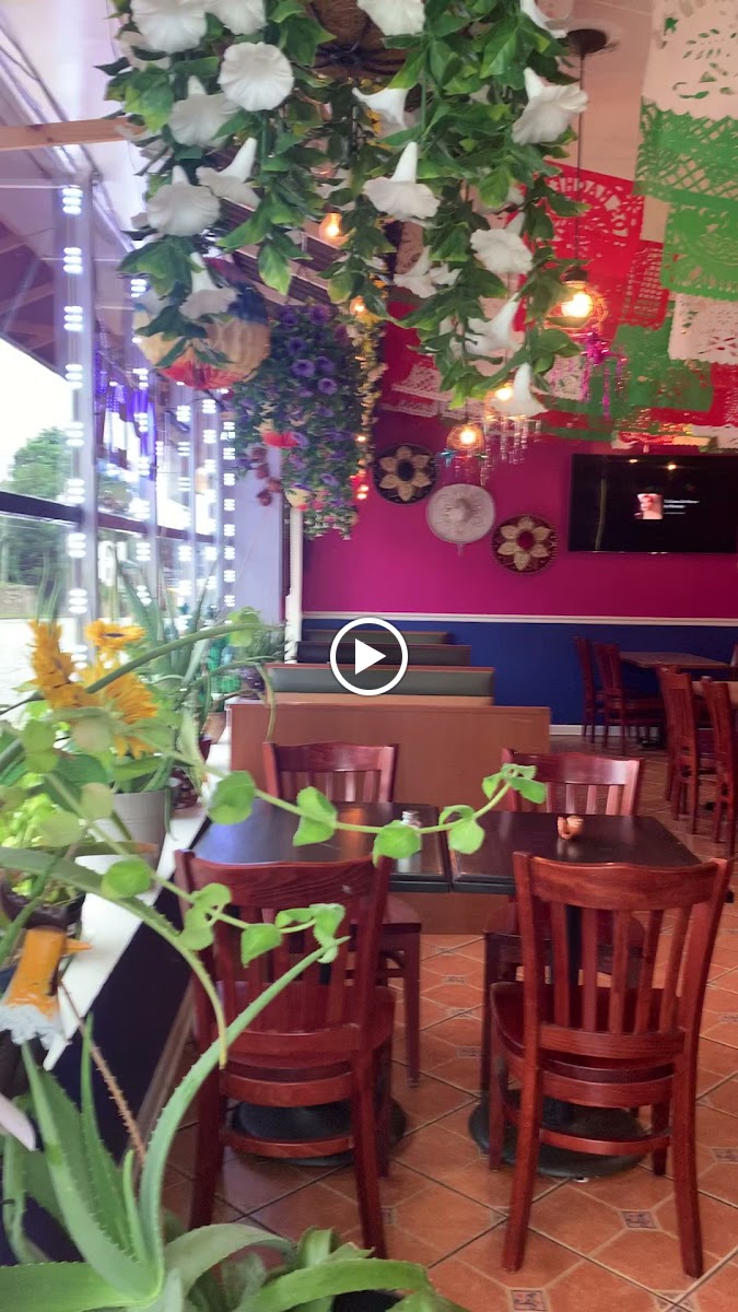 Los Machetes Authentic Mexican Restaurant - Photo 1