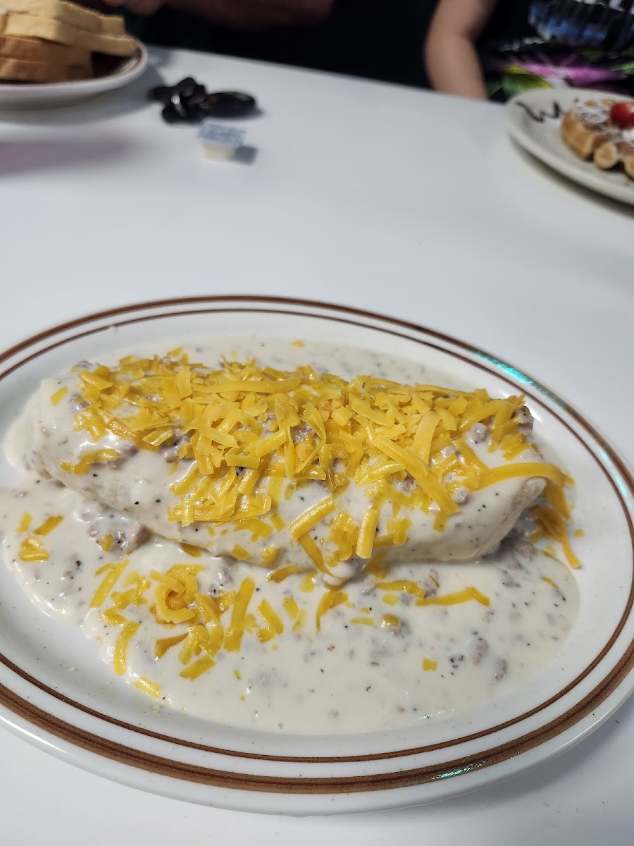 Route 66 diner - Pinellas Park - Photo 6