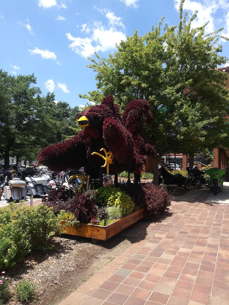 Buffalo Grill - Greenwood - Photo 2