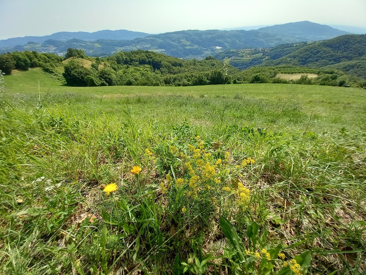 Ristorante La Collina - Photo 6