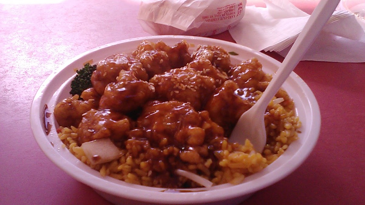 Taste of China - Schenectady